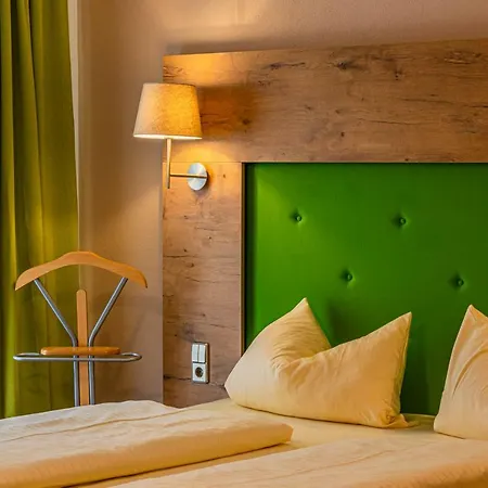 호텔 Guenzburg City 3*